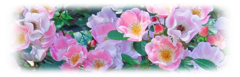 おとな女性のファッション館イメージ画像 おとな女性のファッション館イメージ画像